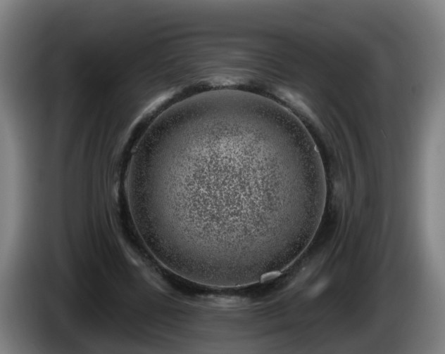 X0000086100539200703301217