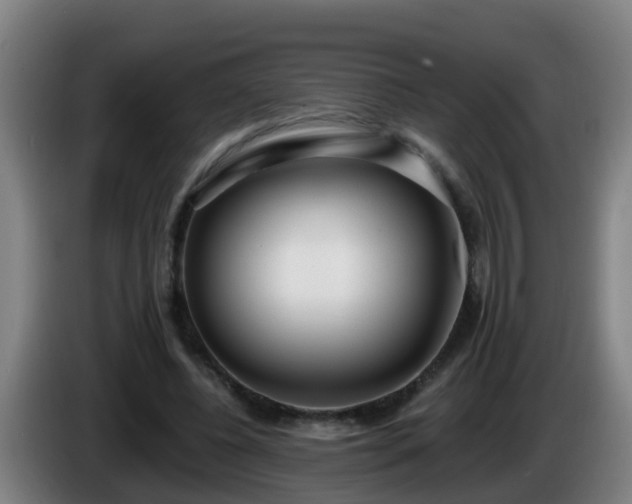 X0000086100540200703301217