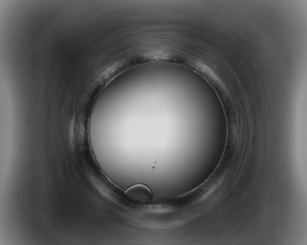 X0000086100541200703301217