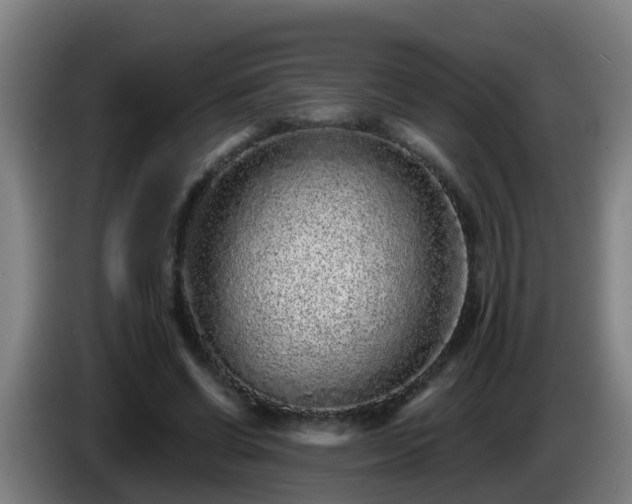 X0000086100542200703301217