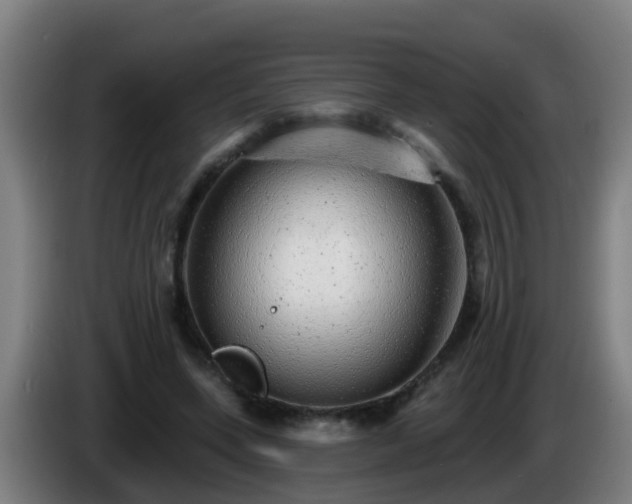 X0000086100543200703301217