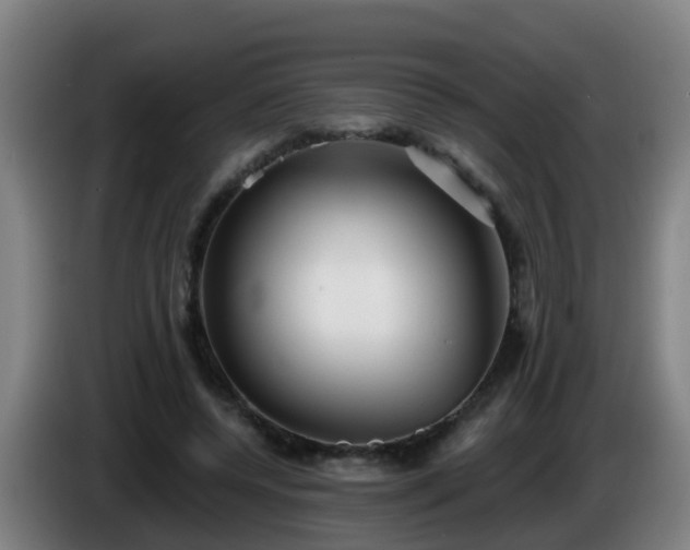 X0000086100544200703301217