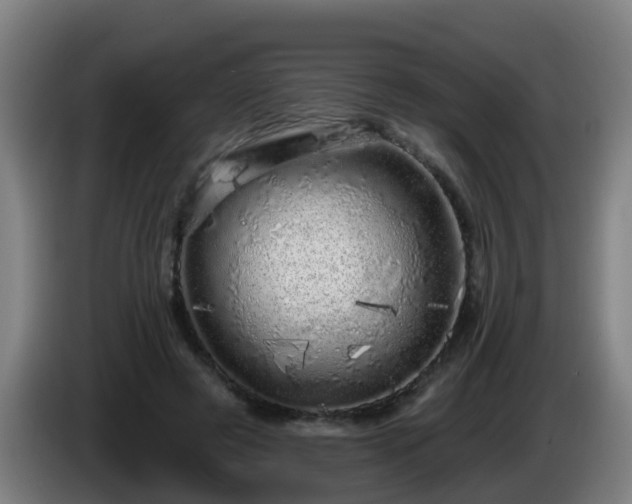 X0000086100545200703301217