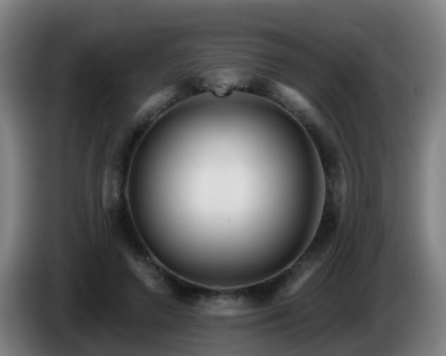 X0000086100546200703301217