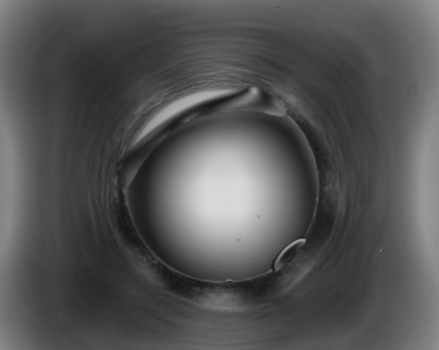 X0000086100547200703301217