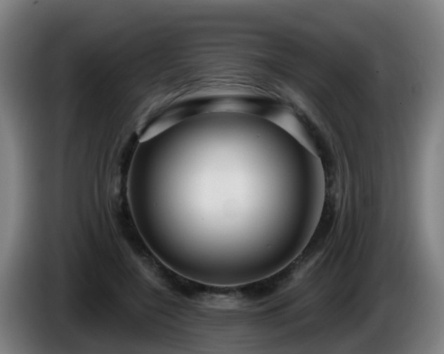 X0000086100548200703301217