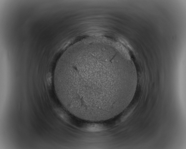 X0000086100549200703301217