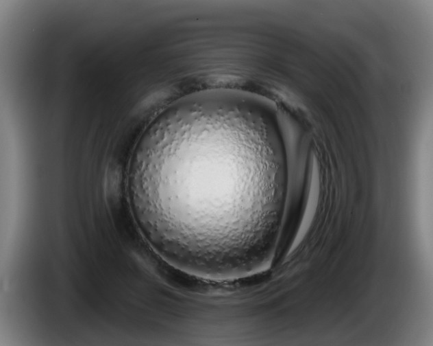 X0000086100550200703301217
