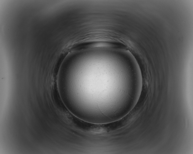 X0000086100551200703301217
