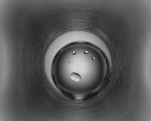 X0000086100552200703301217