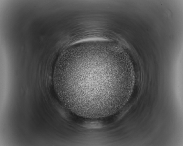 X0000086100553200703301217