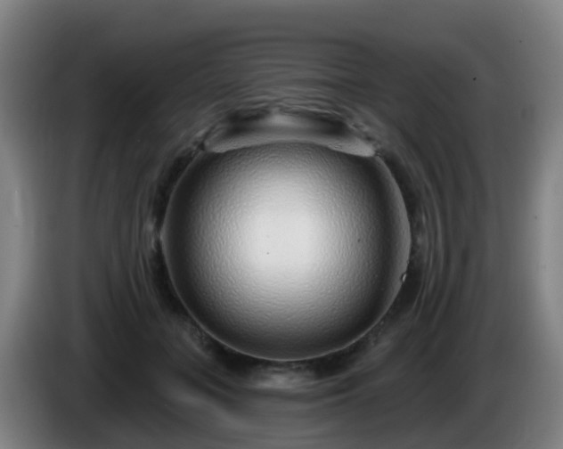 X0000086100555200703301217
