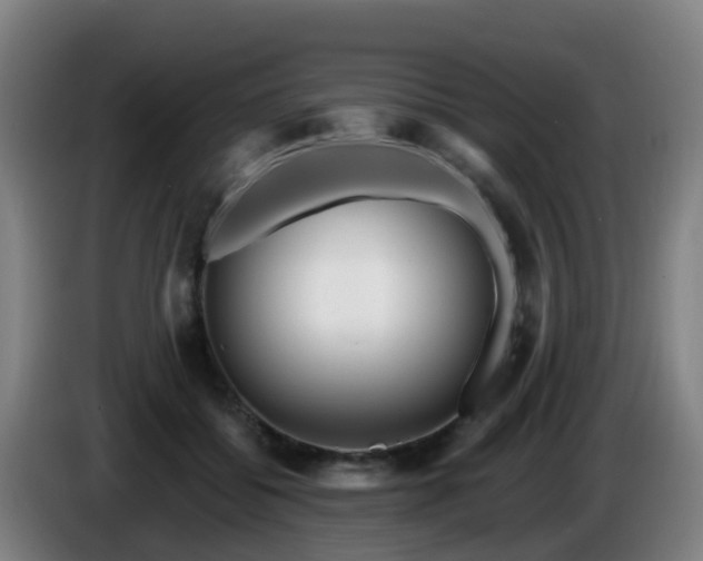 X0000086100556200703301217