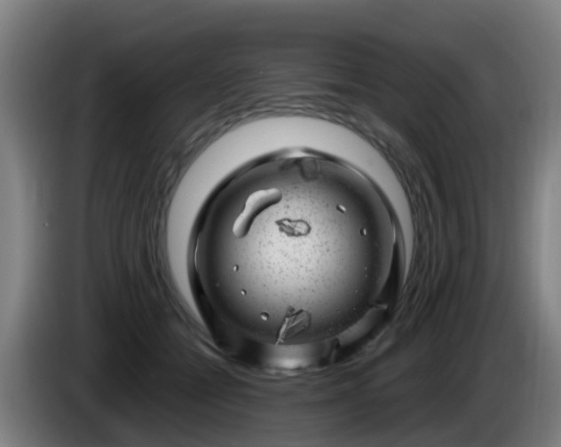 X0000086100558200703301217