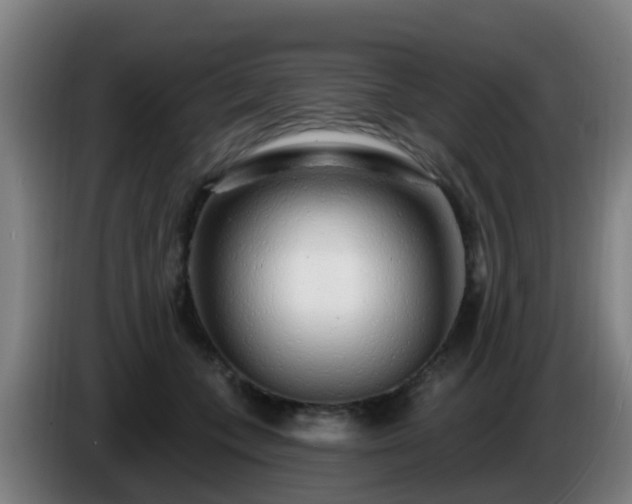 X0000086100559200703301217