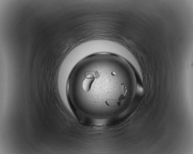 X0000086100560200703301217
