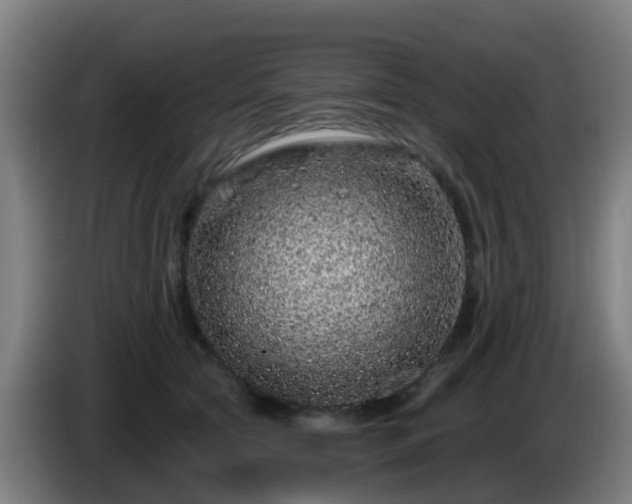 X0000086100561200703301217