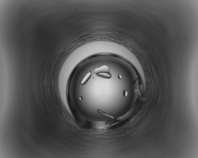 X0000086100562200703301217