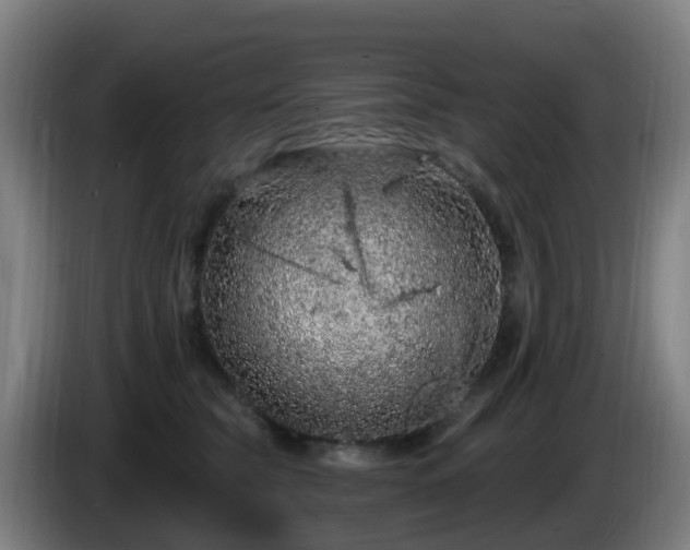 X0000086100565200703301217