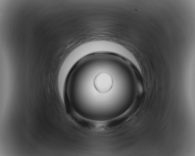 X0000086100566200703301217