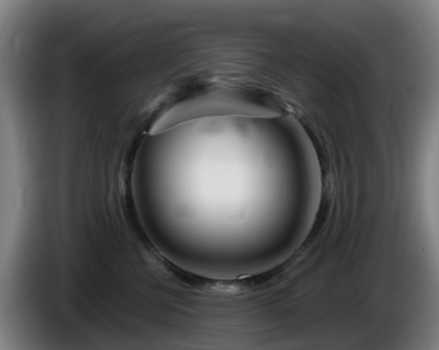 X0000086100570200703301217