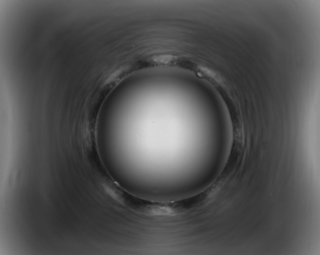 X0000086100572200703301217
