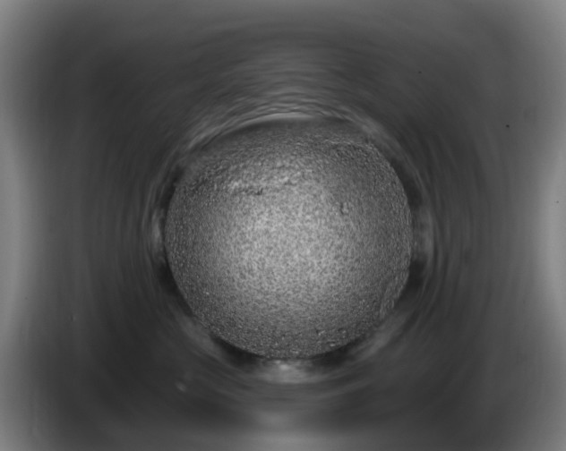 X0000086100573200703301217