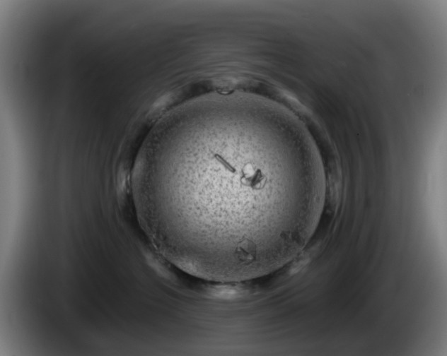 X0000086100574200703301217