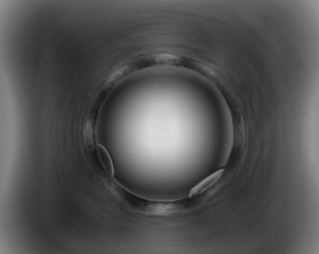 X0000086100575200703301217