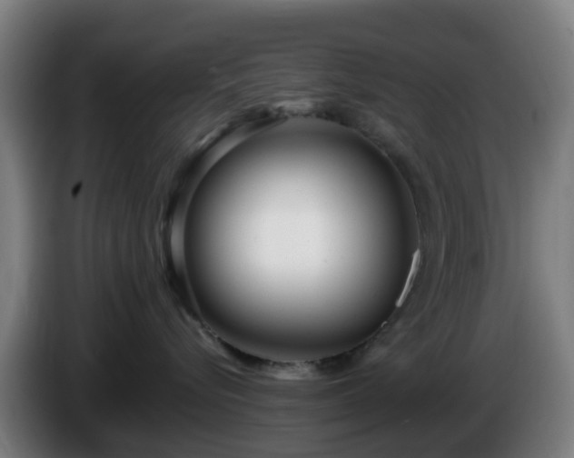 X0000086100576200703301217
