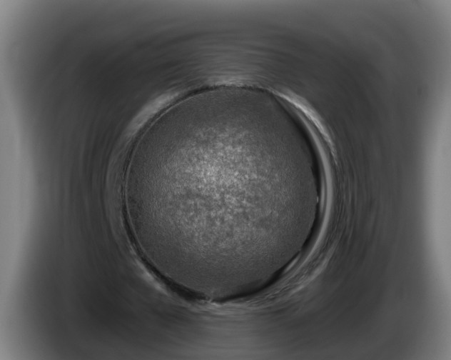 X0000086100577200703301217