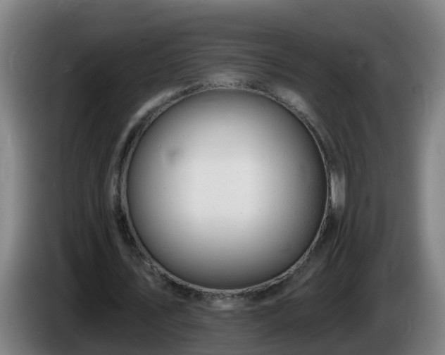 X0000086100579200703301216