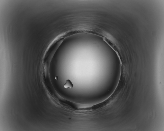 X0000086100580200703301216
