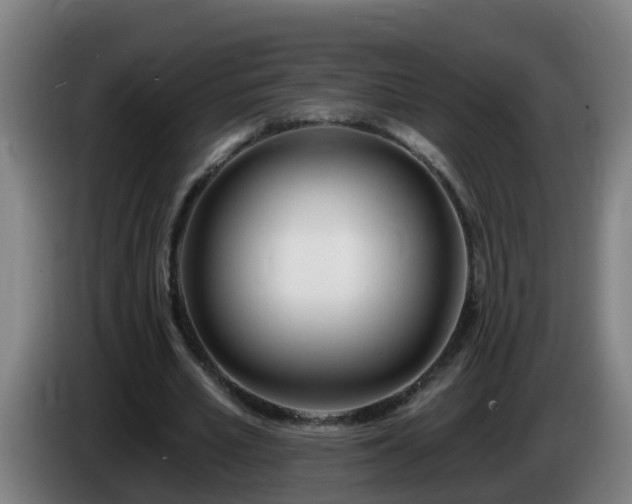 X0000086100581200703301216