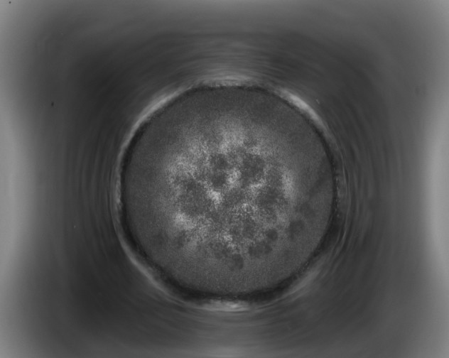 X0000086100582200703301216