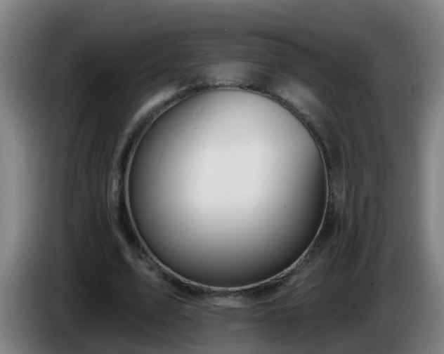 X0000086100583200703301216