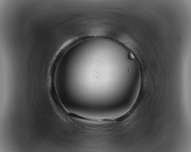X0000086100584200703301216