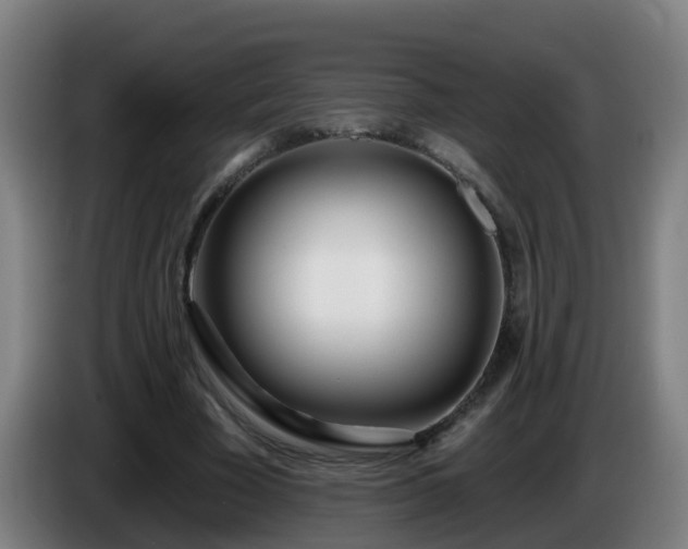 X0000086100585200703301216