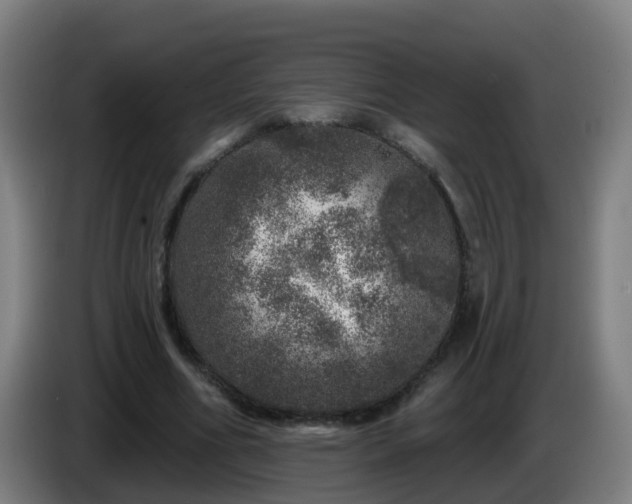 X0000086100586200703301216