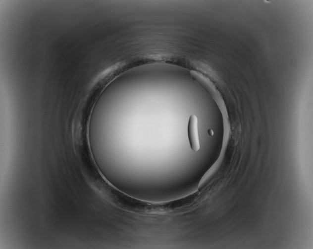 X0000086100587200703301216