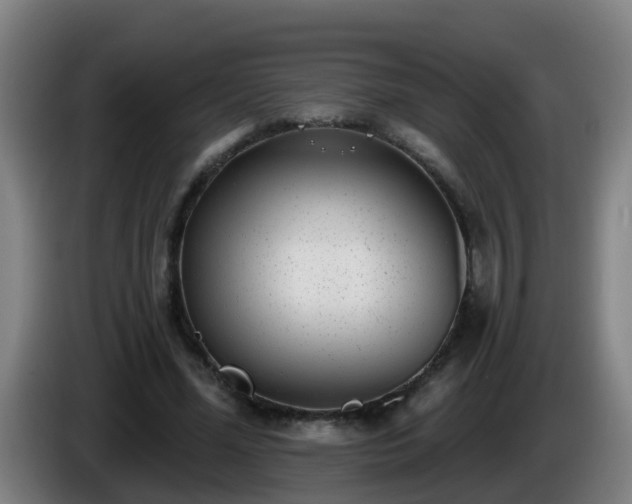 X0000086100588200703301216