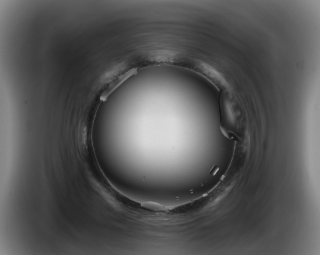 X0000086100589200703301216