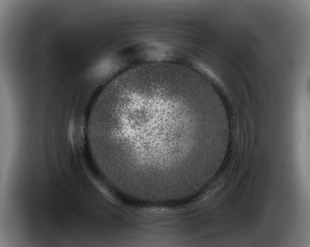 X0000086100590200703301216