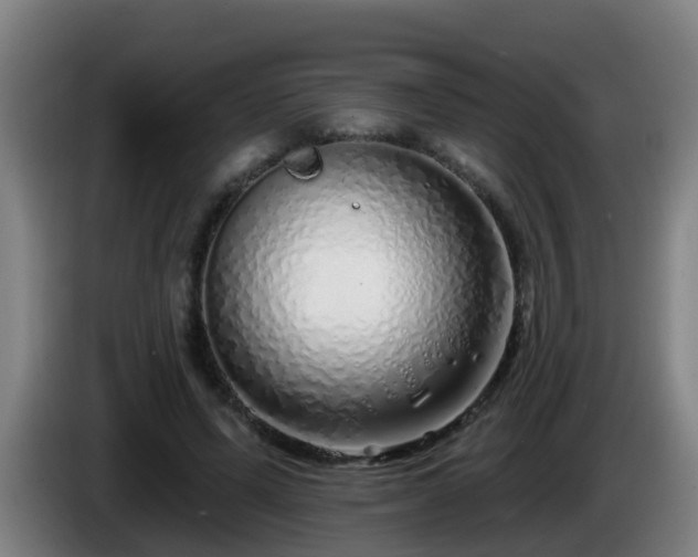 X0000086100591200703301216
