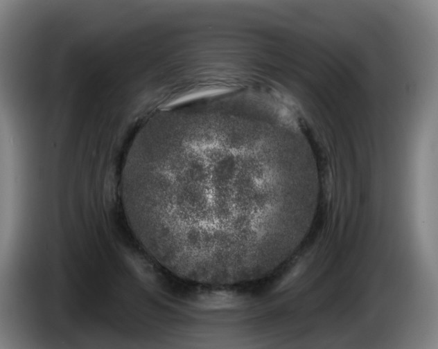 X0000086100594200703301216