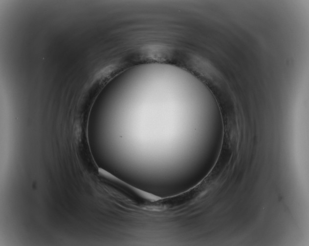 X0000086100595200703301216
