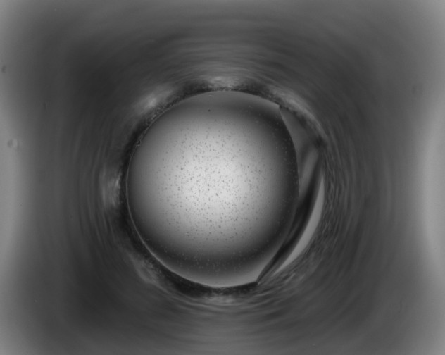 X0000086100596200703301216