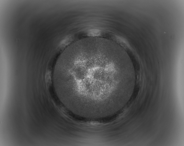 X0000086100598200703301216