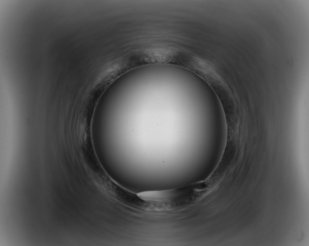 X0000086100599200703301216