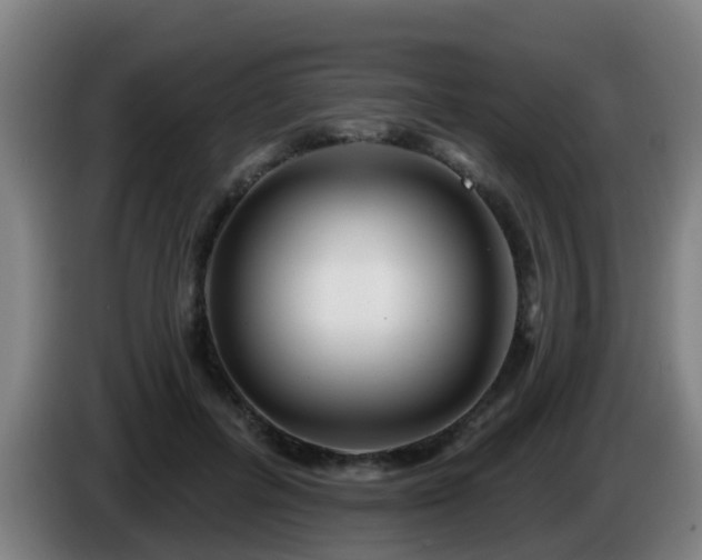 X0000086100600200703301216